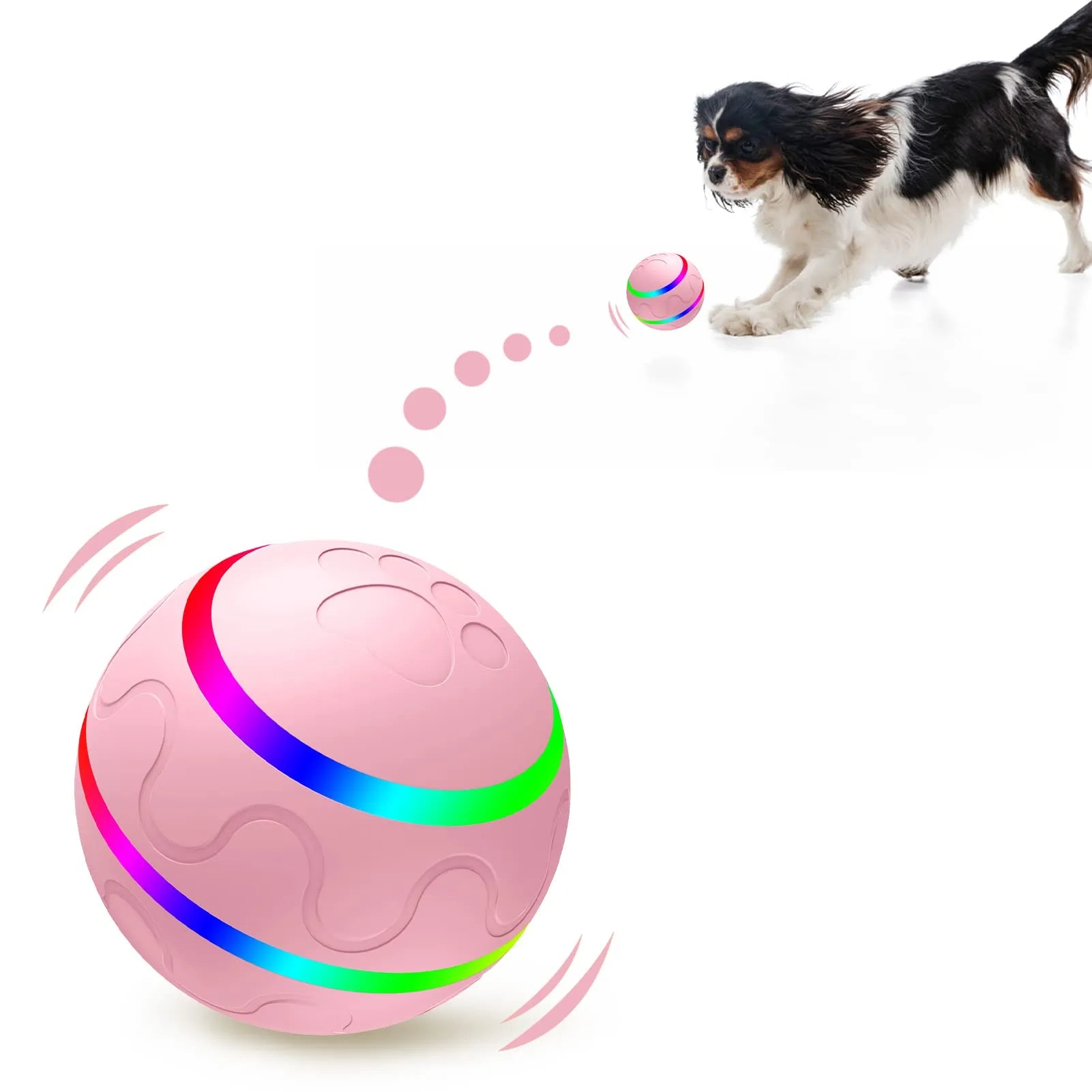 Balle pour animaux
