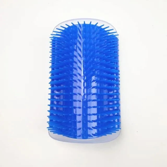 Brosse de massage
