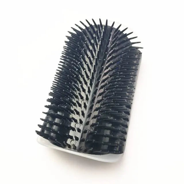 Brosse de massage