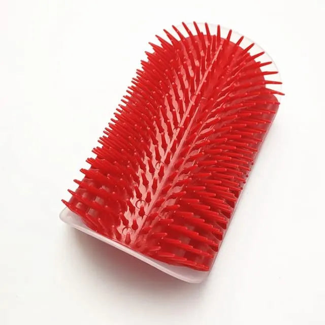 Brosse de massage