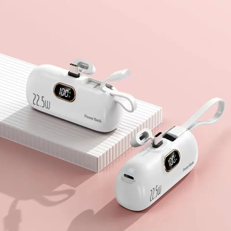 Portable charger