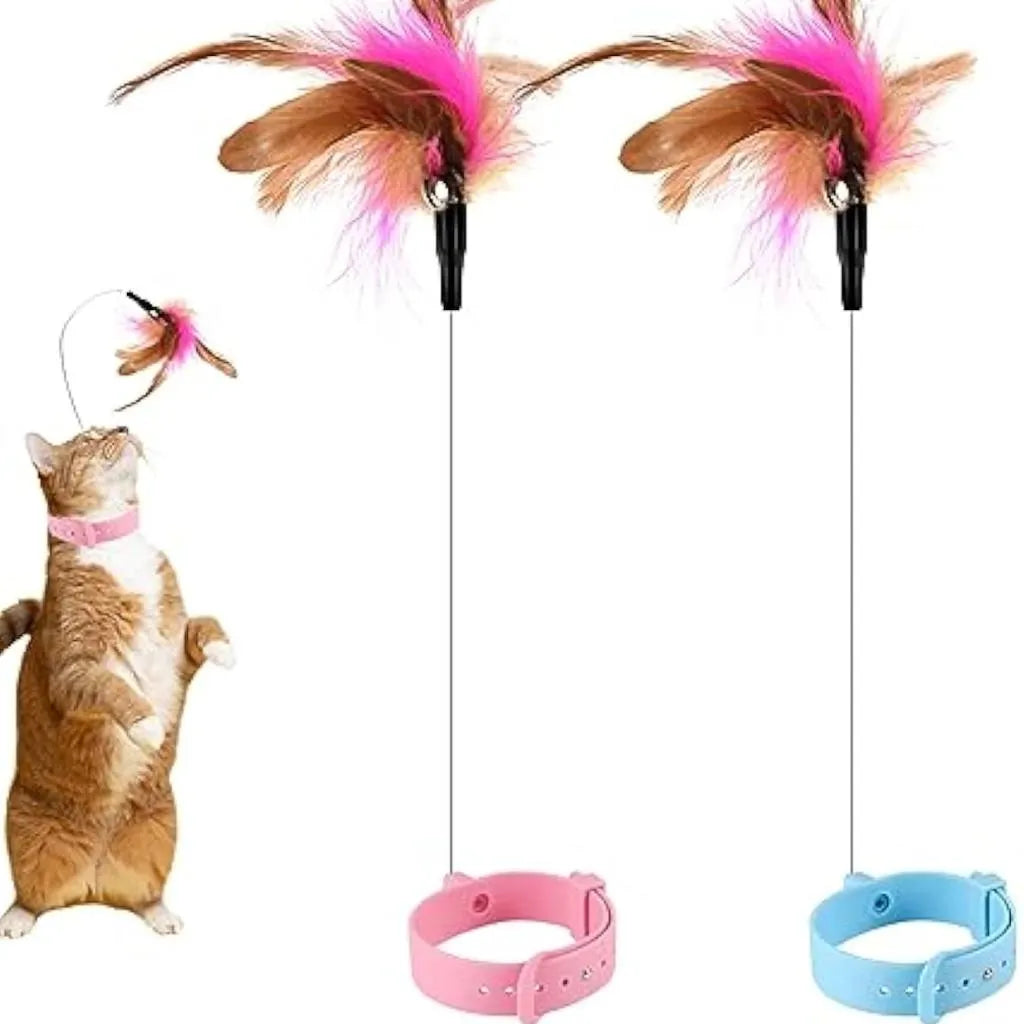 Interactive cat collar