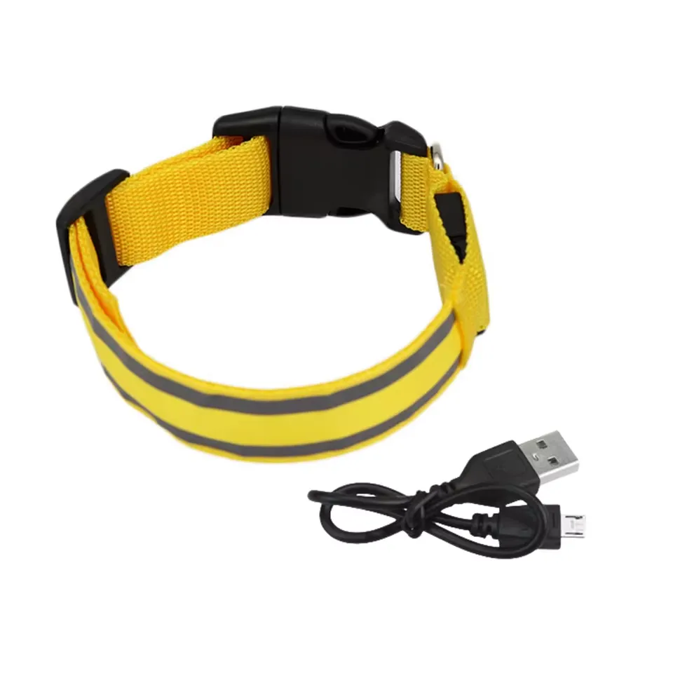 Collier pour animaux