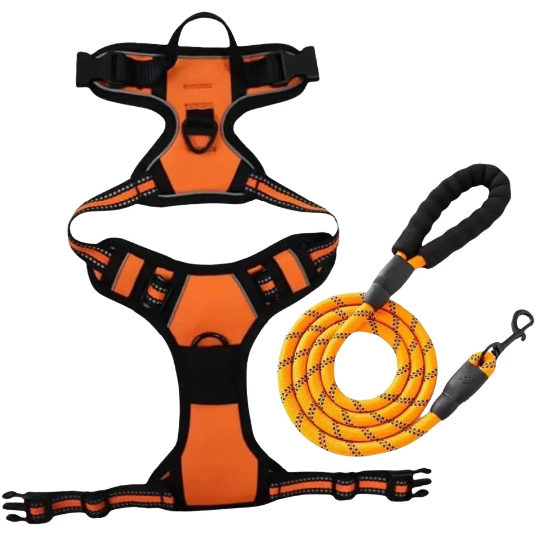 Dog harnesses