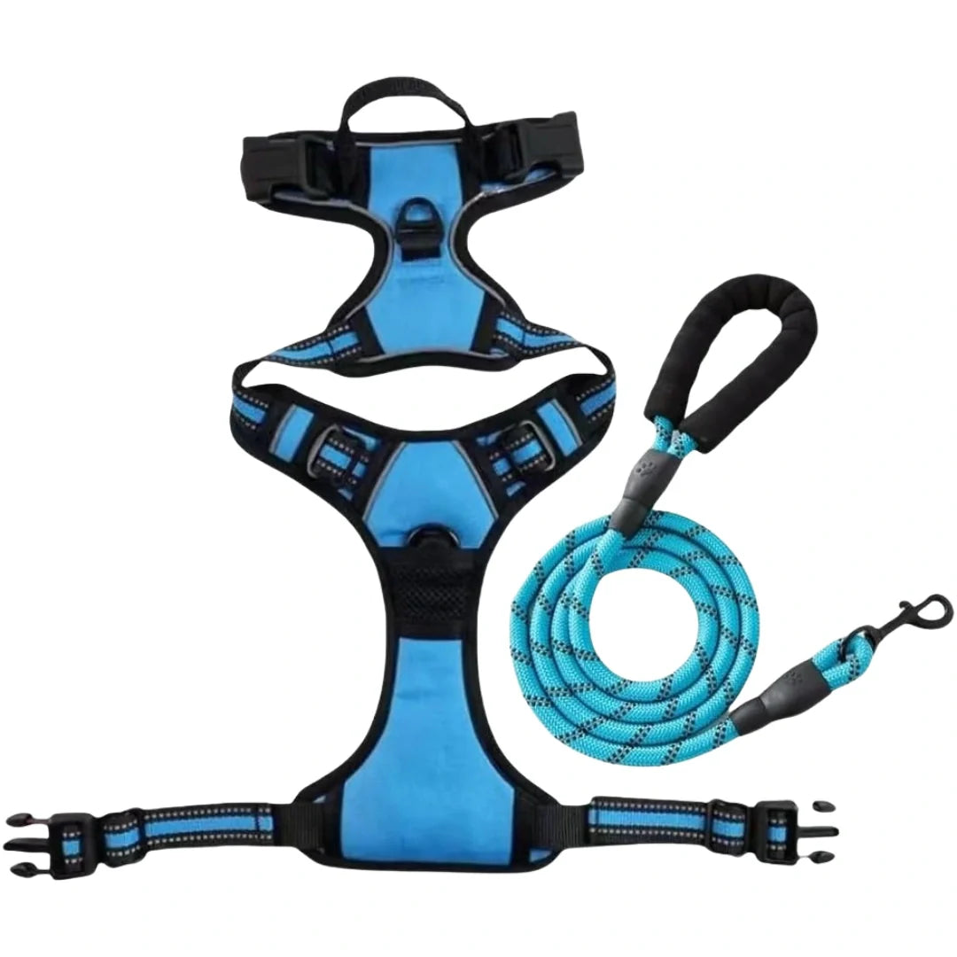 Dog harnesses