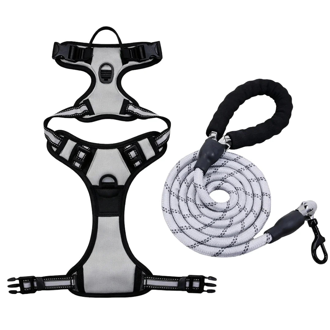 Dog harnesses