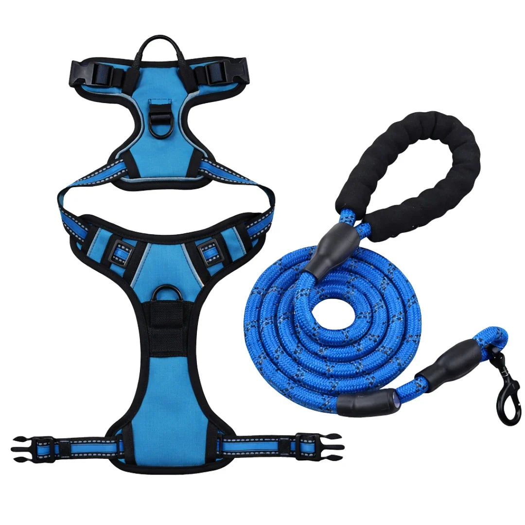Dog harnesses