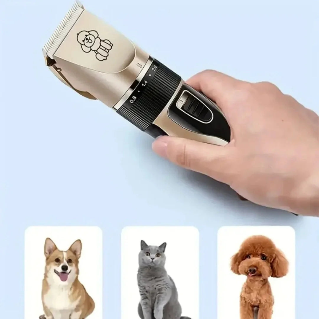 Kit de soins