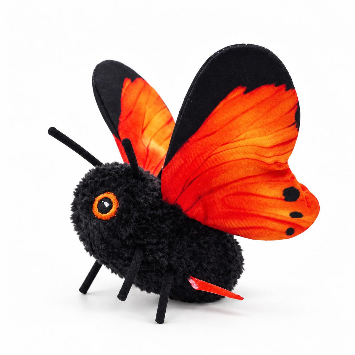 Papillon pour chat