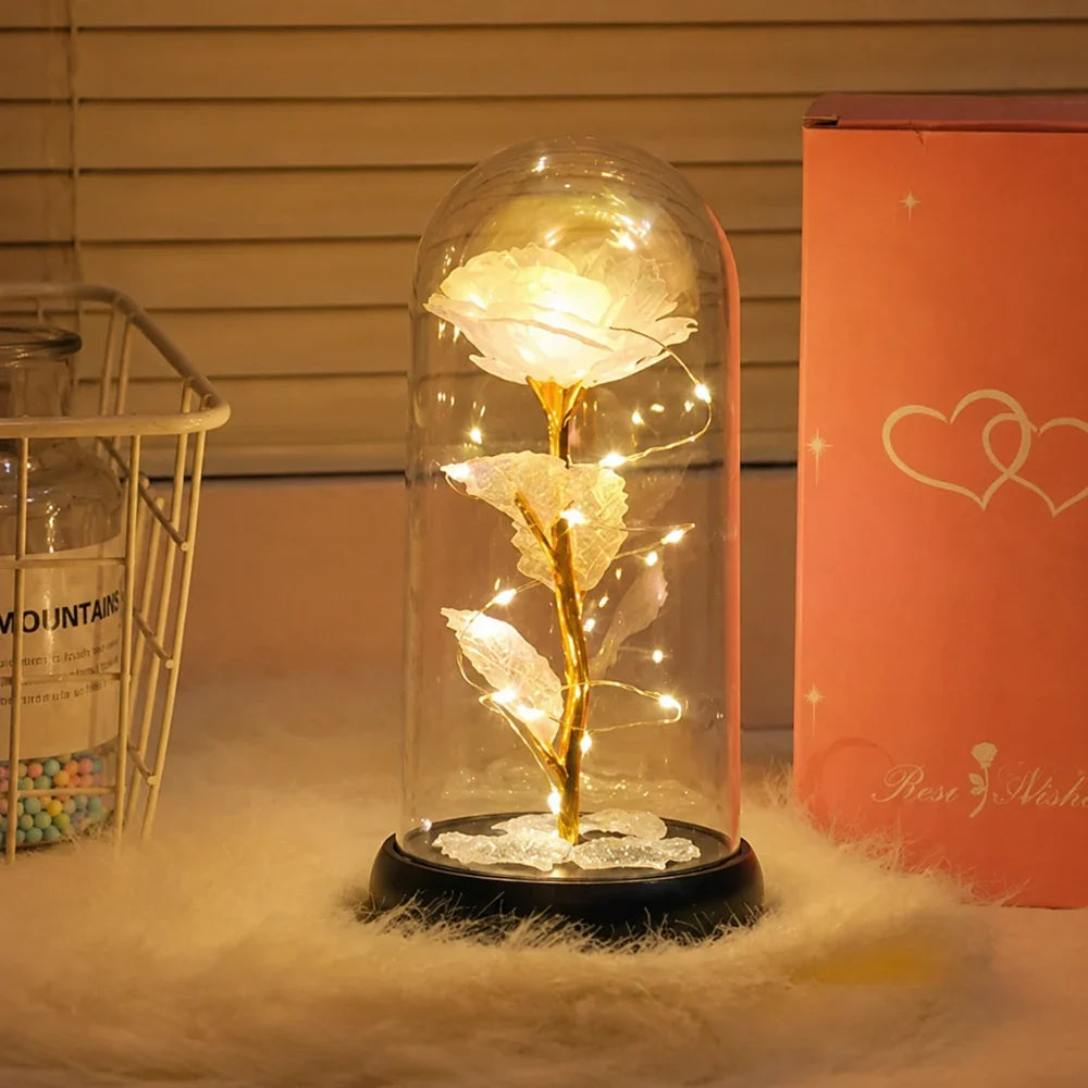 Rose éternelle LED
