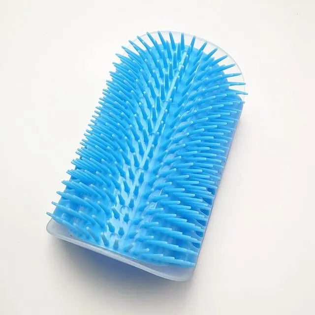 Brosse de massage