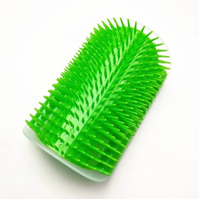 Brosse de massage