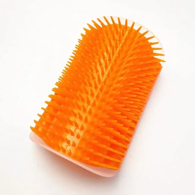 Brosse de massage