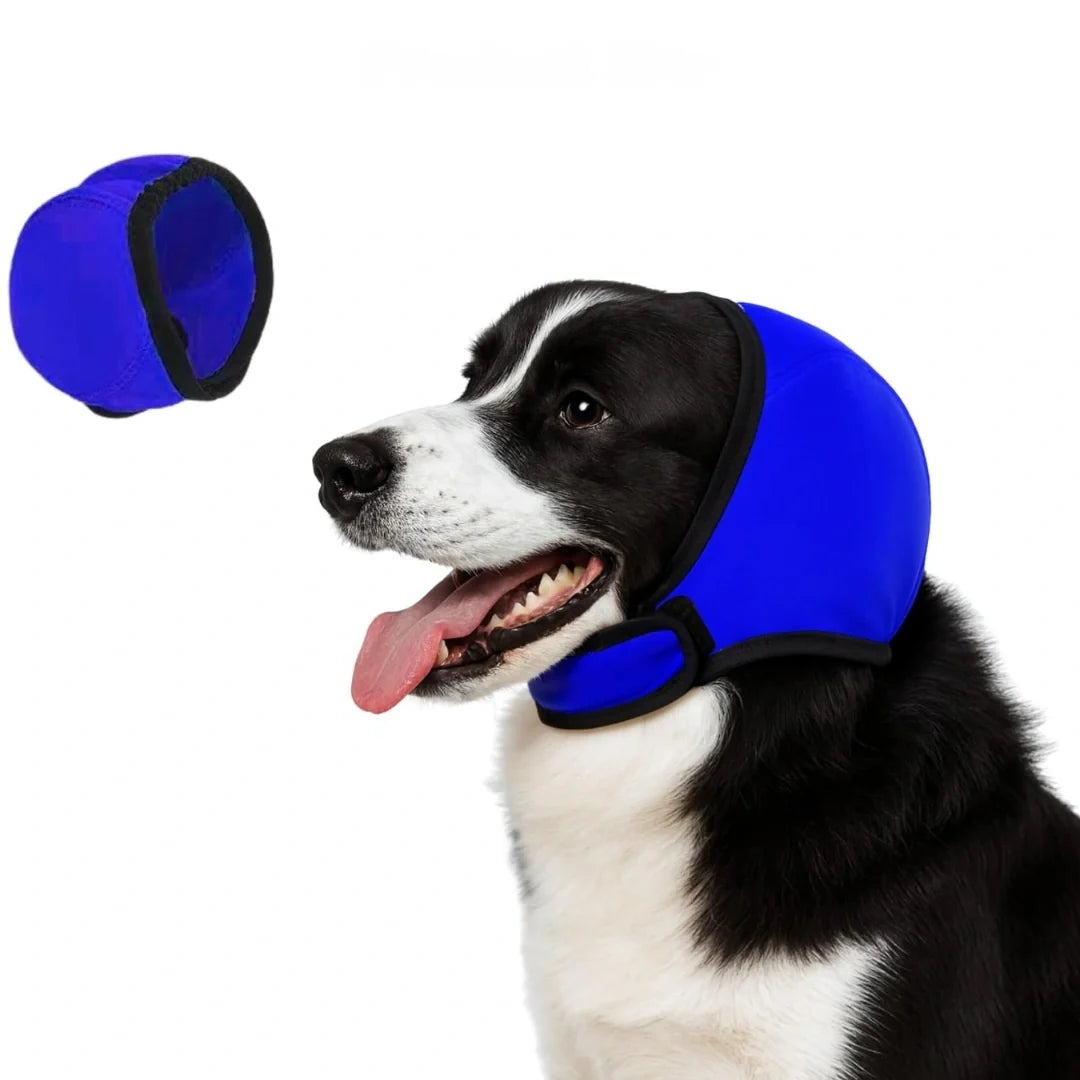 Dog ear muffs