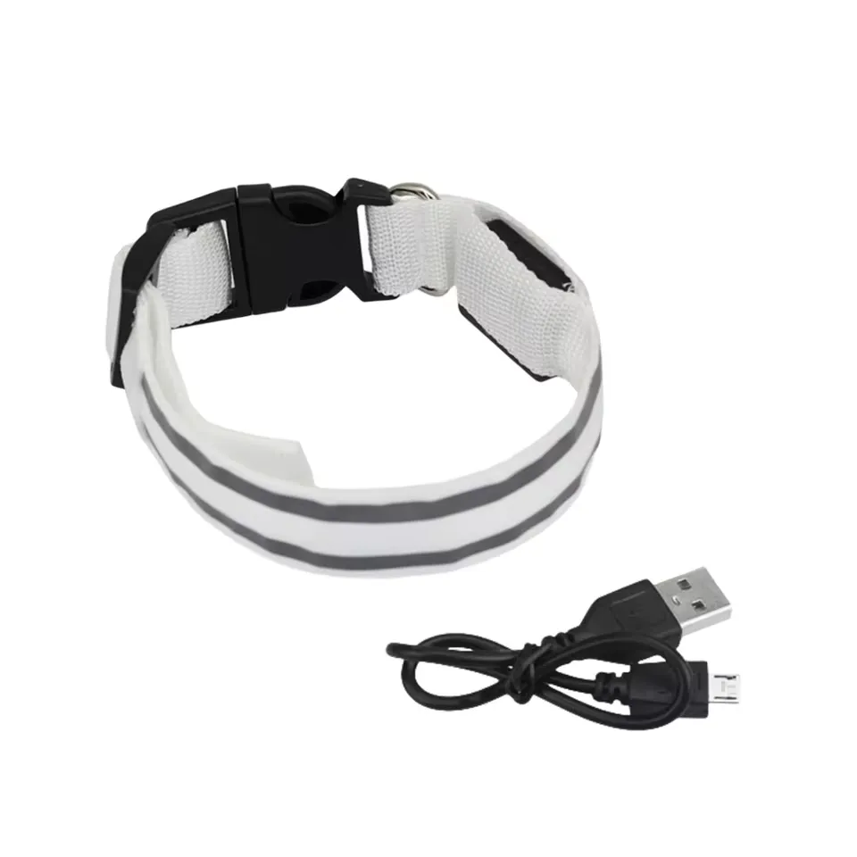 Collier pour animaux