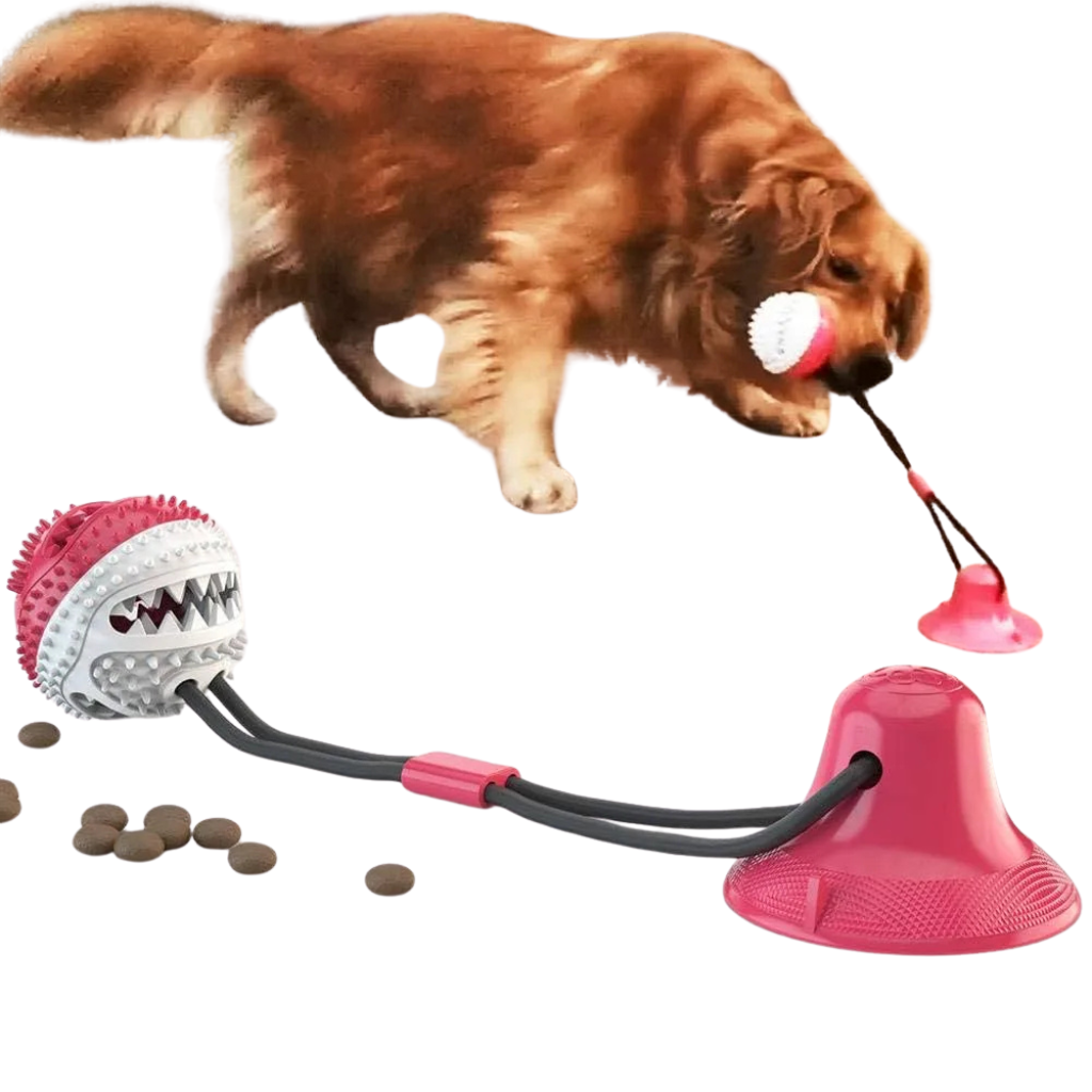 Balle à mâcher