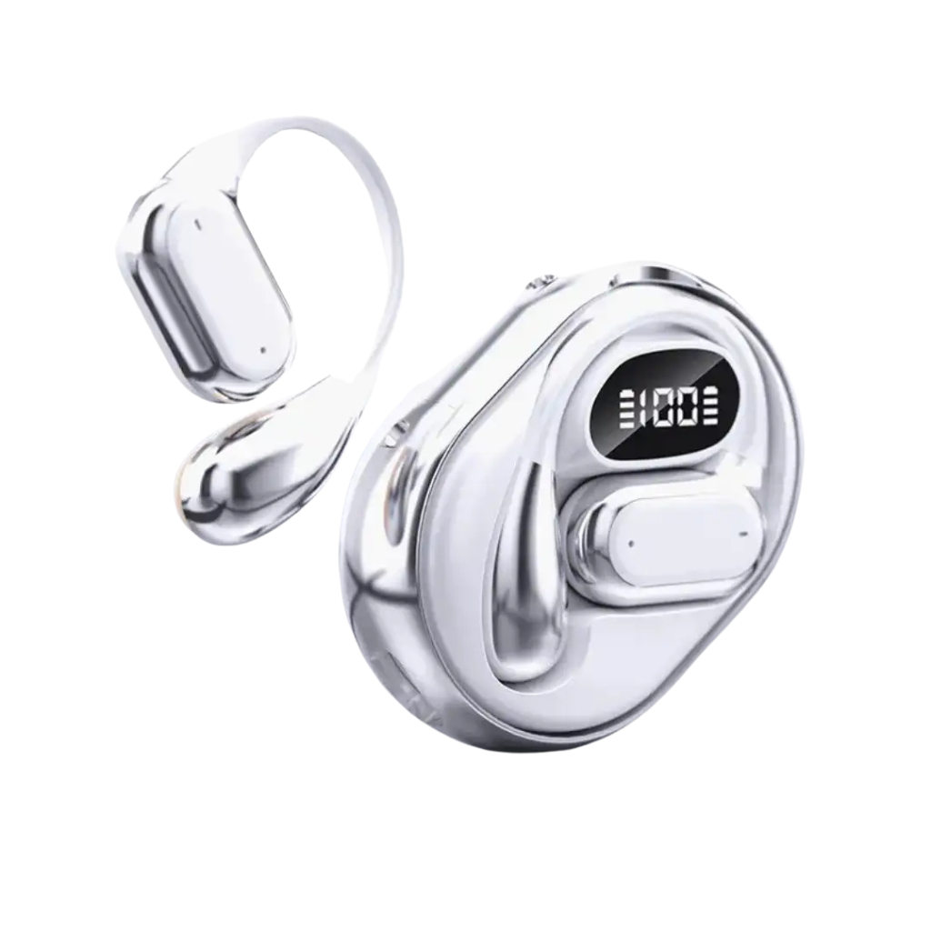 Translator earphones