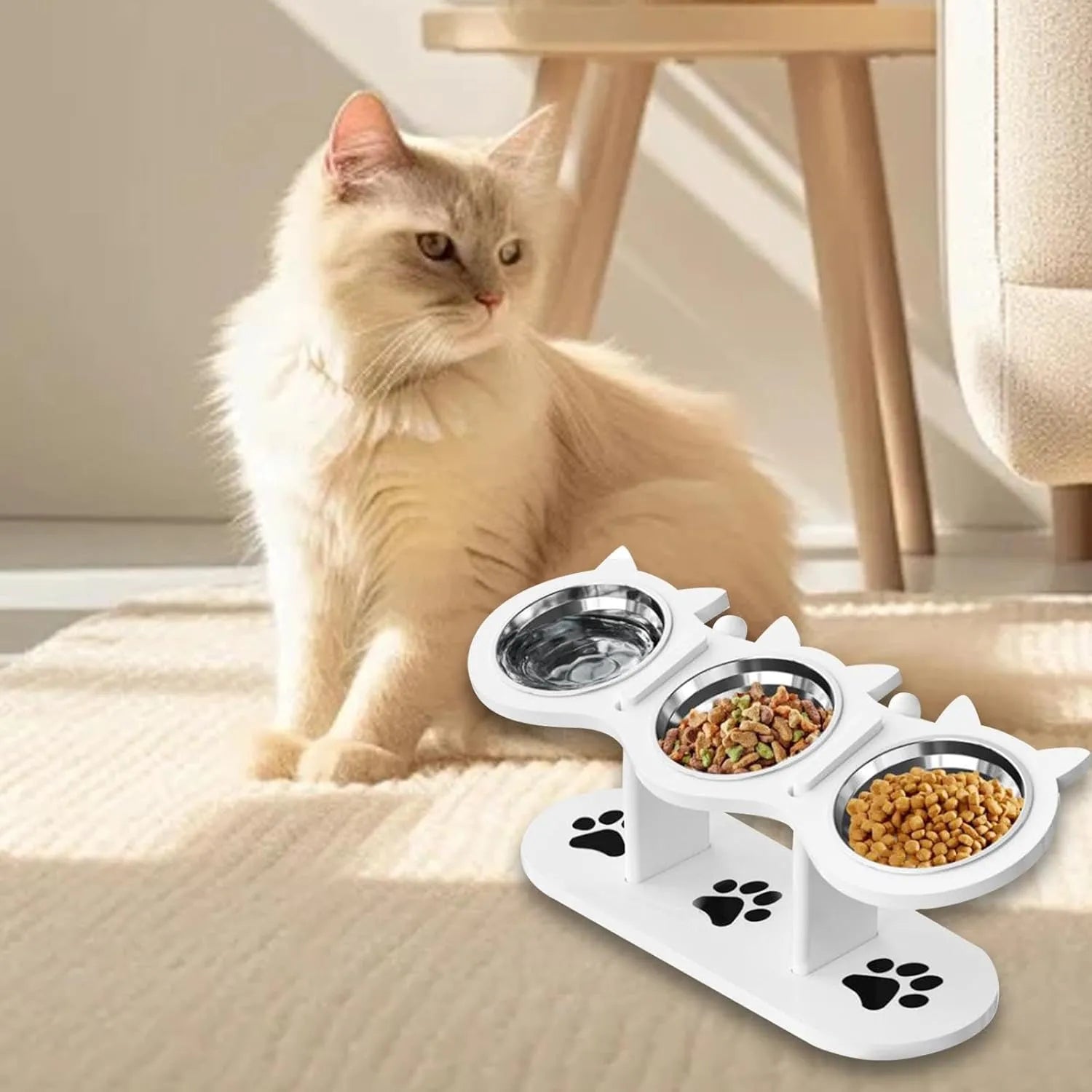 Gamelle pour chat