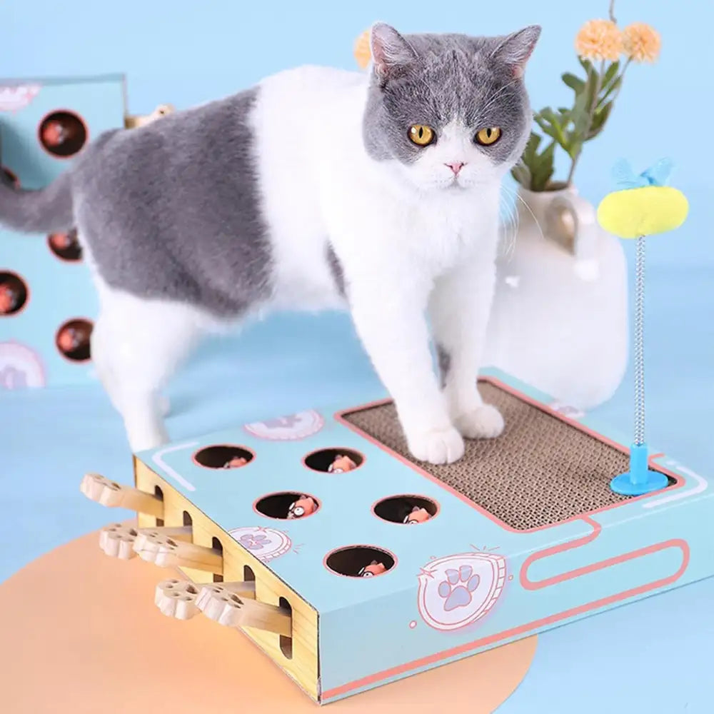 Interactive cat toy