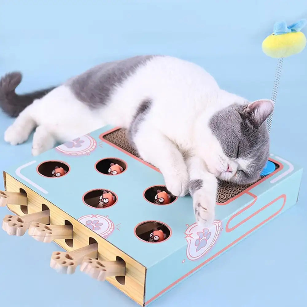 Interactive cat toy