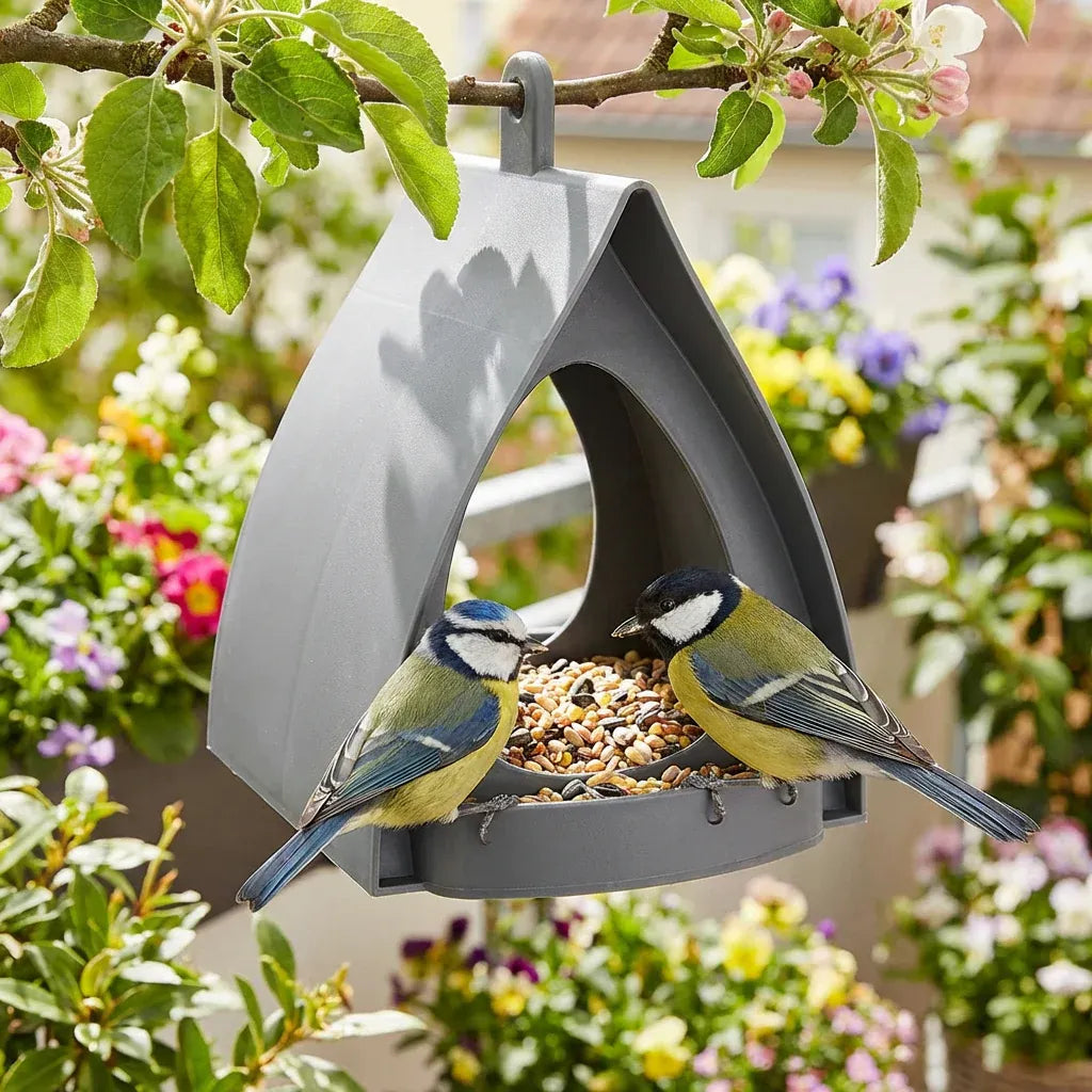 Bird feeder