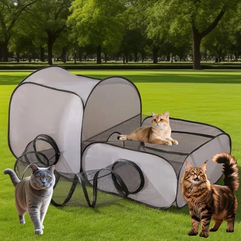 Tunnel pour chats